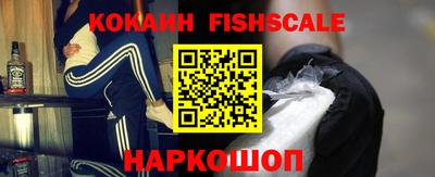 шишки Можга