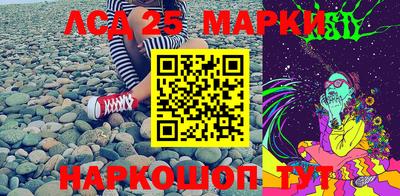 шишки Можга