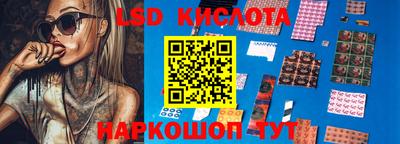 шишки Можга