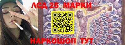 шишки Можга