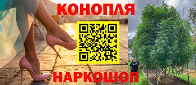 шишки Можга