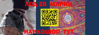 шишки Можга