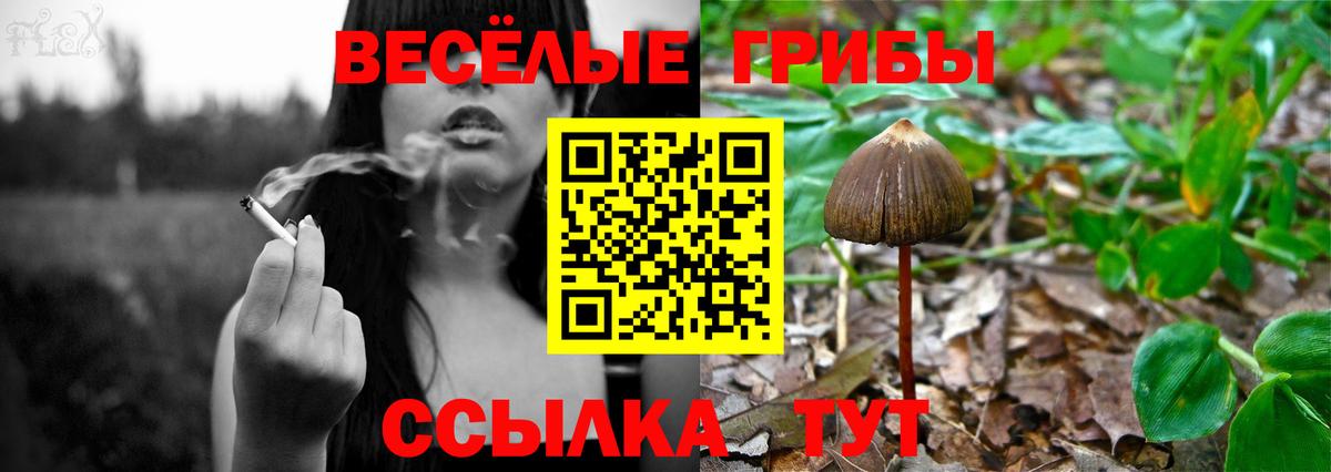 Псилоцибиновые грибы MAGIC MUSHROOMS Урус-Мартан